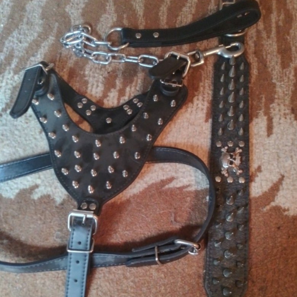 Set Of Dog leash and collar